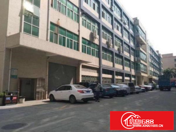 大浪大型工业区整层一楼1350平方米出租