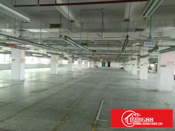 高埗塘厦村带地坪漆水电现成装修11700平出租