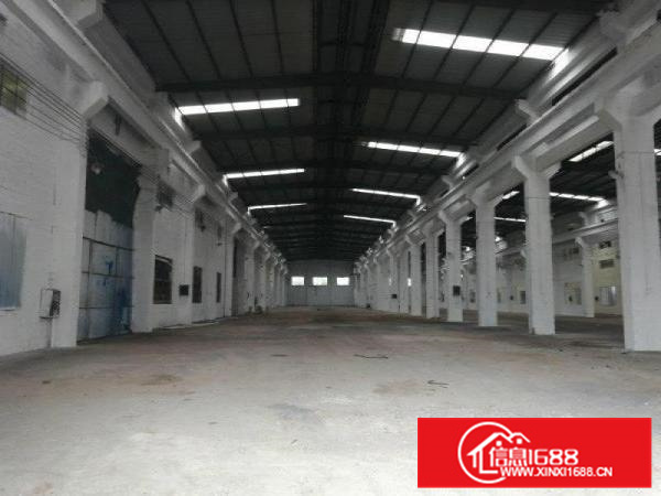 笋盘！里水1000平米单一层厂房招租！到顶12米高