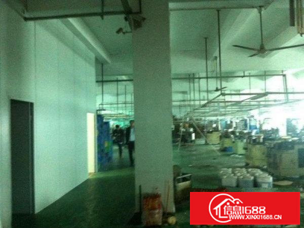 坑梓秀新工业区新出七米高一楼1800平方出租