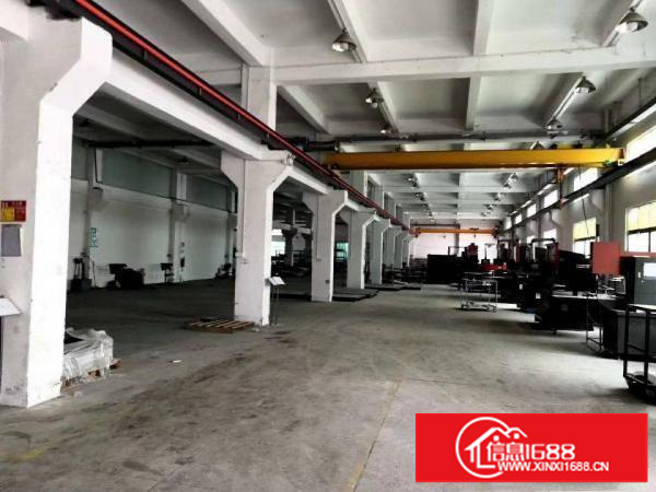 清溪高速口新出独院厂房出租，厂房二层10000平方，带牛角