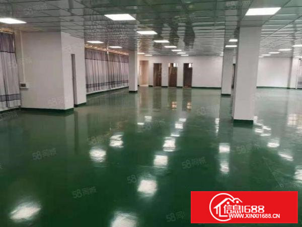 东莞桥头经典独院标准厂房一栋三层工业用地主干道旁易招工空地大