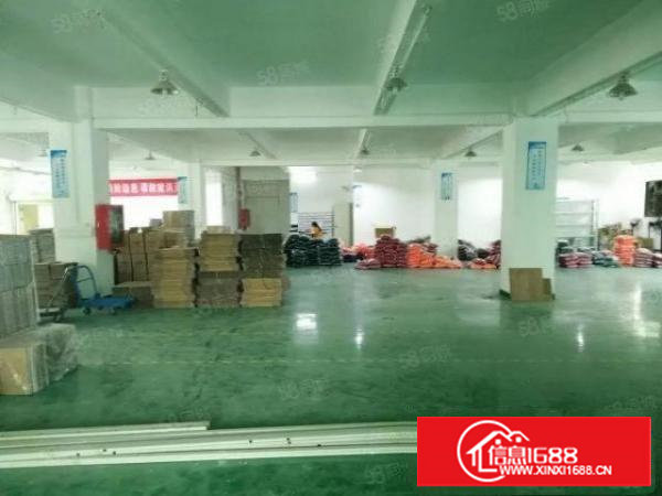 塘厦桥陇独院标准3楼800平方！双面采光明亮！干净整洁