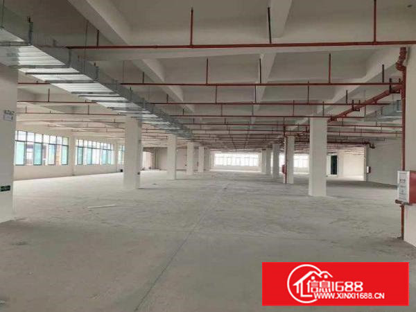 长安镇原房东厂房招租，独院厂房出租