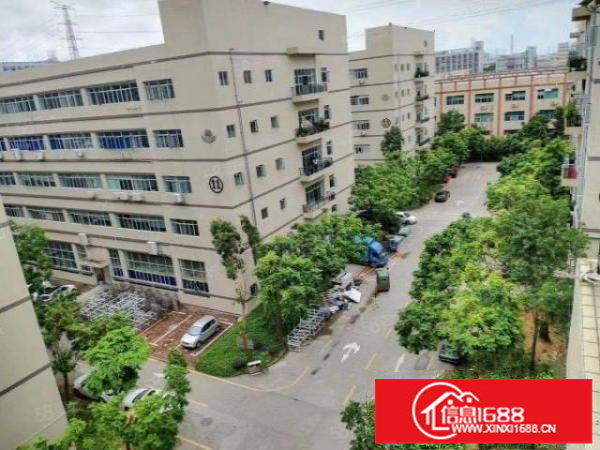 龙华大浪原房东红本厂房出租800平方，带装修