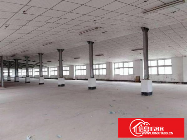 秋长维布2楼1000平带精装不限行业出租可分租