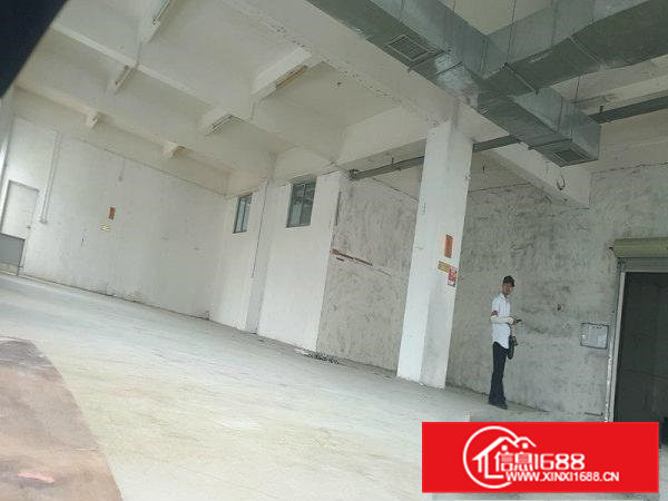 虎门龙眼，实用面积1200以上，水电到位带宿舍办公室价格可谈