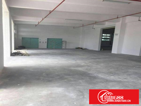 大亚湾大型科技园新出独栋厂房16000平方米招租