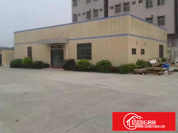 镇隆长龙1750平米钢构厂房招租