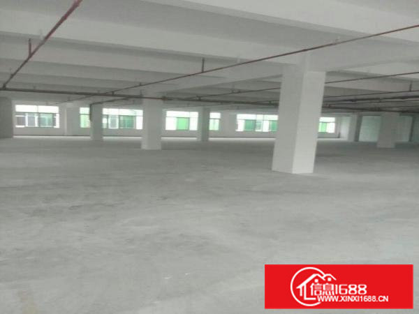 高埗.标准厂房分租楼上2、3楼1000平超大超靓