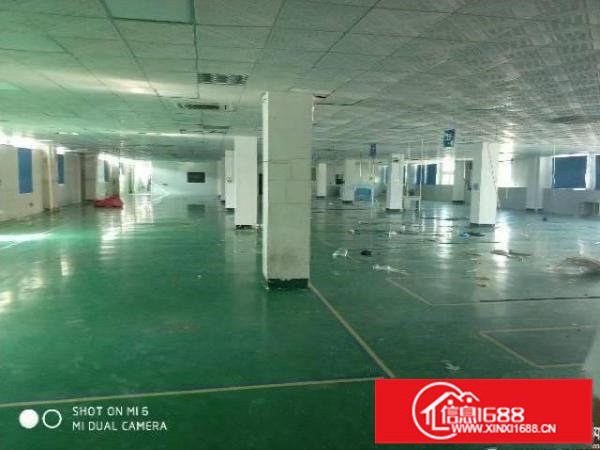 坪山石井靠近主干道二楼800平米红本带装修厂房出租