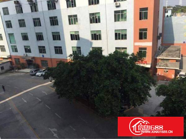 横岗四联整层1000平方出租，有电梯