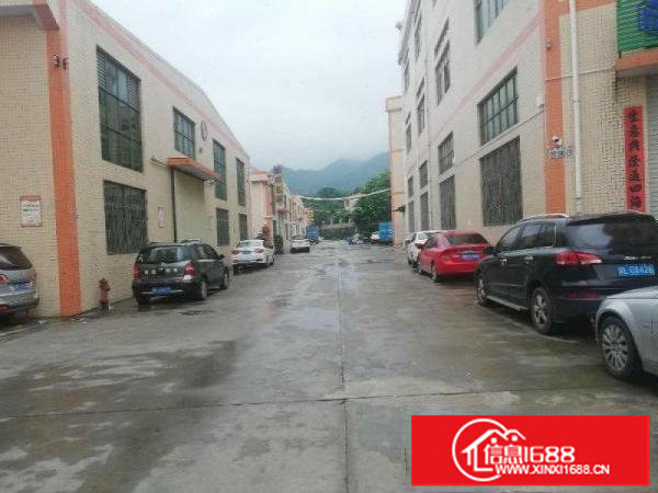 坑梓工业区标准一二楼，每层1800平米，可以分层租