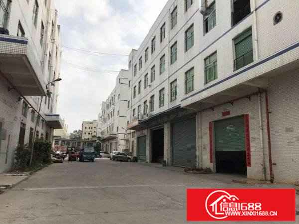 观澜君子布原房东厂房出租单层面积1500平方带装修