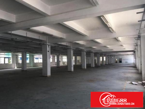 专业氧化工业厂房出租龙华区观澜