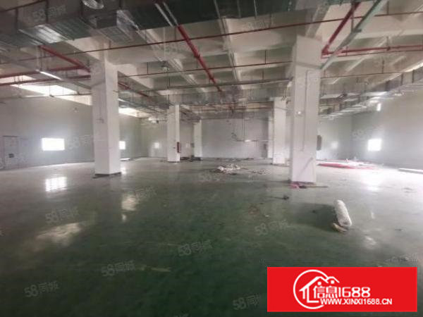 常平司马新出18000平米花园式水电线路齐全独院标准厂房招租