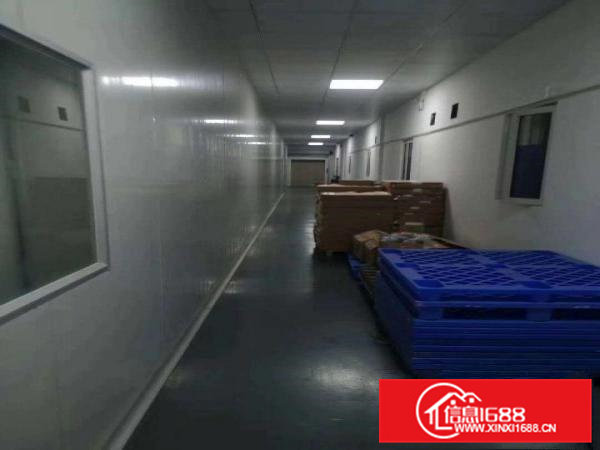 桥头镇新出楼上精装修厂房面积1500平方，现成办公室！