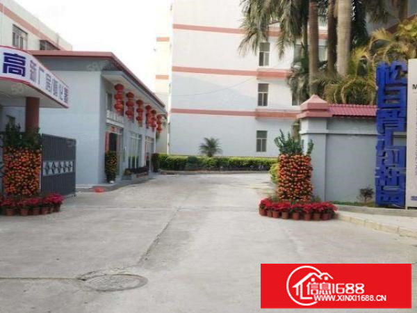 松岗燕罗路特价高新科技带政府补贴厂房308平方出租