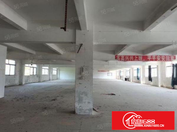 凤岗新出独院厂房12600平精装修标准厂房可分租厂房出租