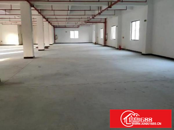 原房东标准楼层厂房(可分租)