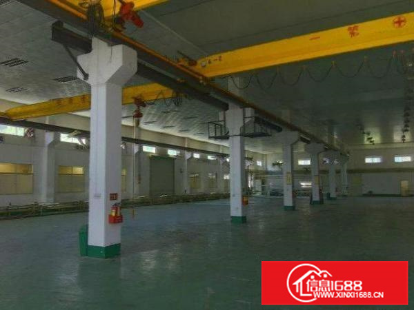 沥林高速路口11500平超靓厂房出租