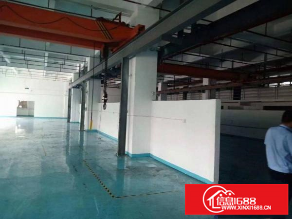 平湖原业主厂房一楼1500平方出租，急急急