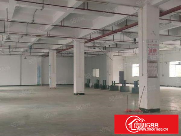 原房东标准一楼850平方，实际面积，办公室水电齐全，价格便宜