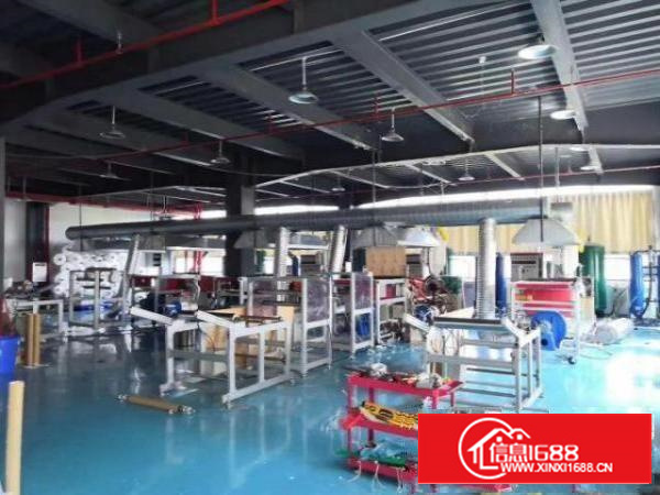 出租石碣城区，采光好，价格便宜，水电齐全