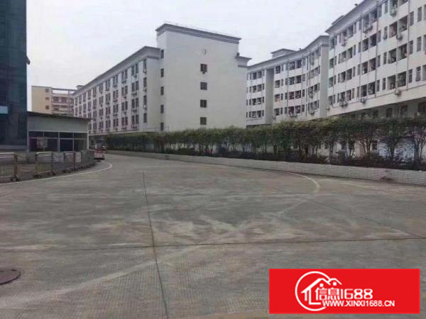 出租仲恺潼湖新出830平原房东标准独院厂房，火爆招租！