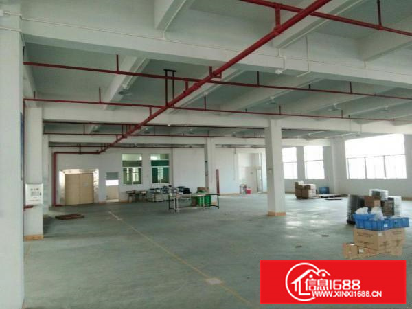 平南天好工业园标准厂房一楼层高6米4500平招租