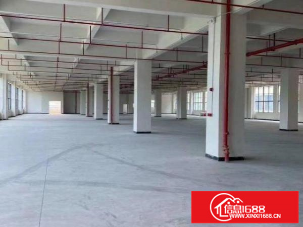 佛山顺德乐从独门独院可分租厂房便宜招租。