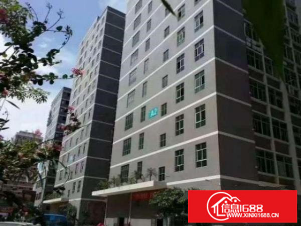 国乐高新科技园一楼二楼每层2000平带红本装修