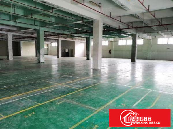 重工业福音东坑原房东红本厂房新装修可做电子灯饰五金