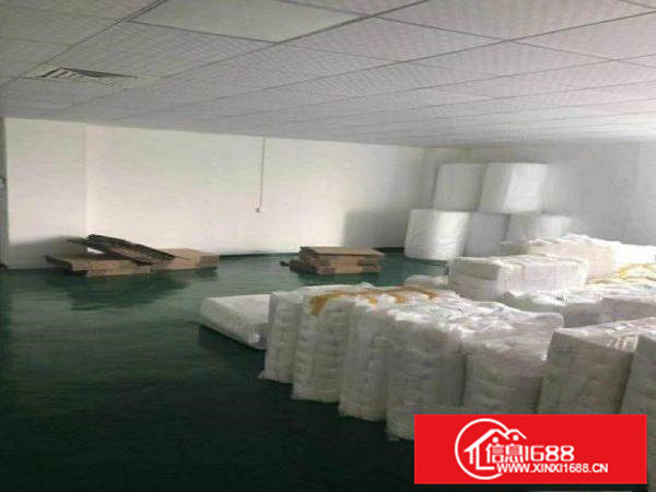 横沥水边新出1000平方带无尘车间厂房出租