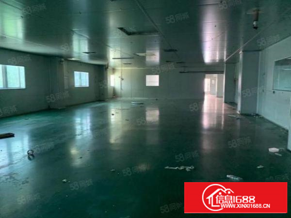 万江新出原房东独门独院单一层厂房招租