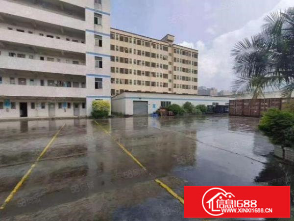 观澜新田原房东独门独院厂房出租4800平出租