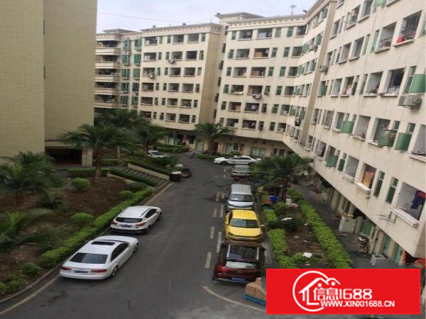 坂田路口250平方到350平方