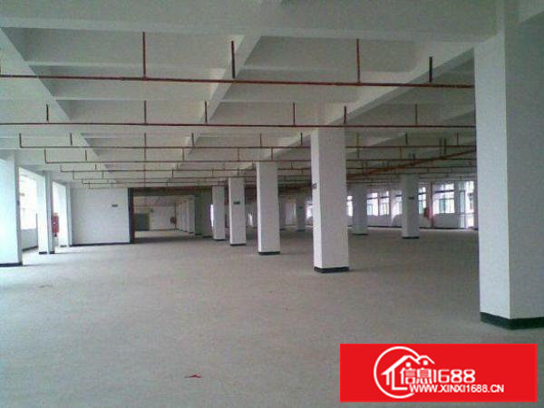 出租坪山三洋湖标准厂房2800平米可分租1400平