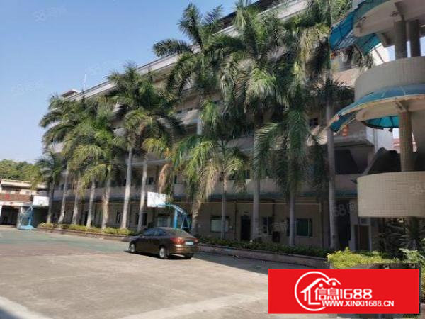 东坑镇标准独院厂房出租可分租独立办公楼主干道边易招工交通方便