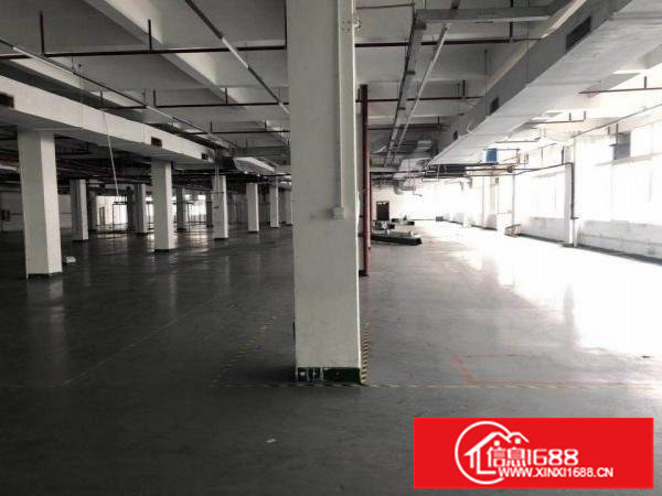 龙岗宝龙原房东花园式厂房15000平方，带消防喷淋，可分租