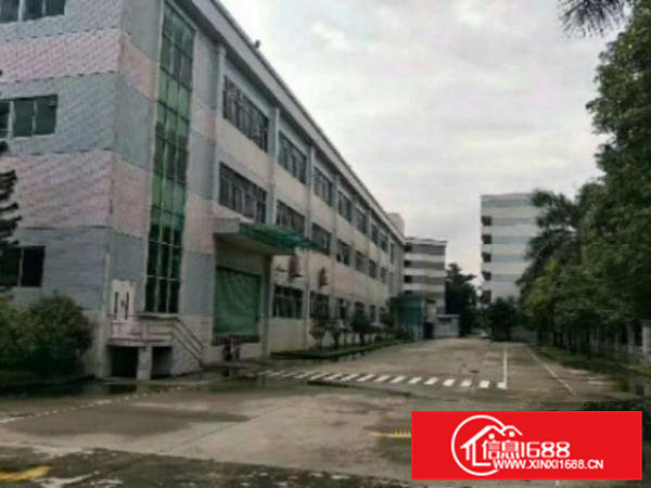 高埗花园式独院标准厂房10000平方出租可分租空地大工业用地