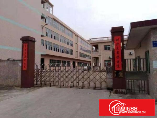 东莞桥头全新带办公楼地坪漆厂房