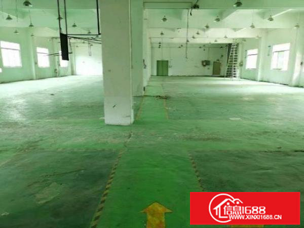 安良六约一手房东（原房东）独院厂房出租