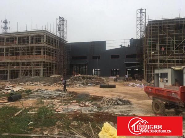 虹领路独门独院全新厂房出租