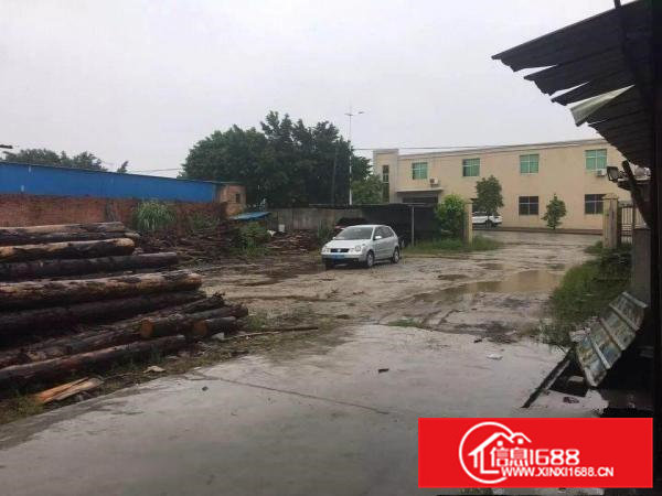 常平镇新出独院单一层铁皮650平米有宿舍