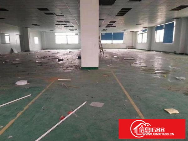 大岭山经典原房东小独院出租，一栋厂房，一栋宿舍