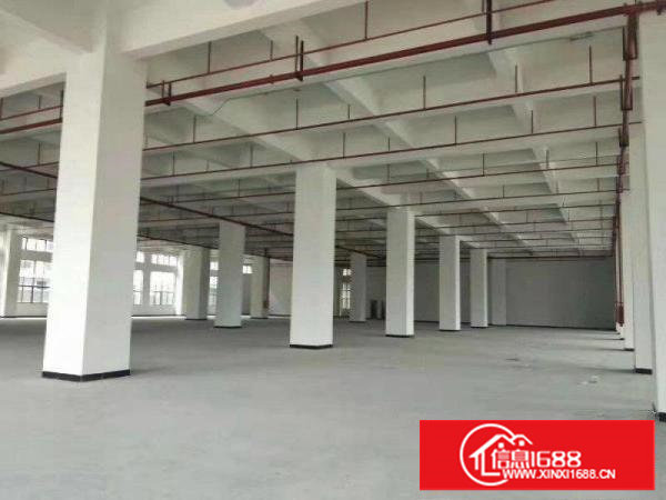 长安涌头全新厂房18000平方首层高6米大小可分