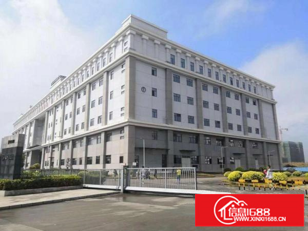 数据库厂房深圳大工业区红本21万平出租