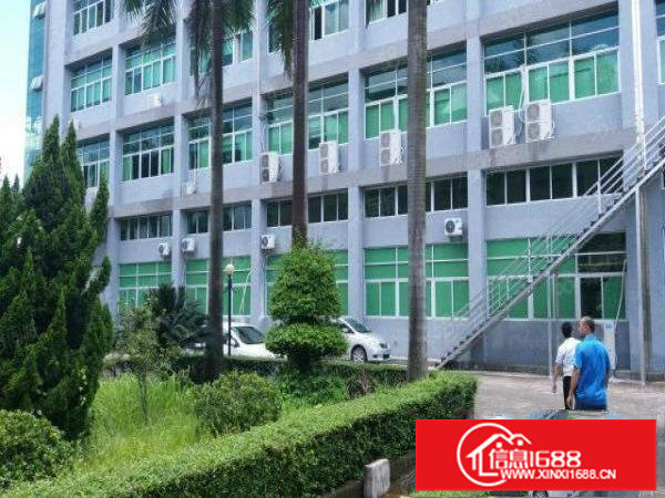 近白泥坑300，500，1000平米厂房带装修