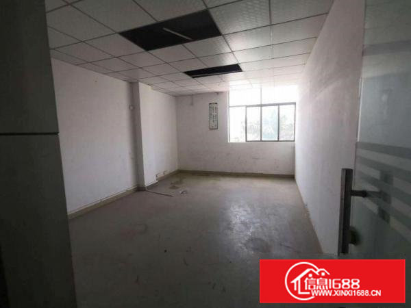 寮步向西原房东标准独院厂房分租一楼600平方.